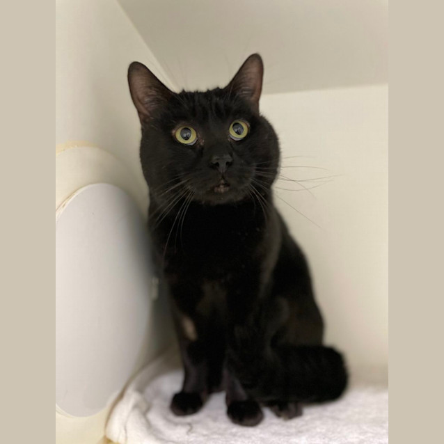 Photo of 🕶Lester 5195🕶