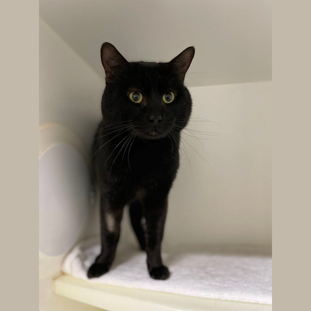 Photo of 🕶Lester 5195🕶