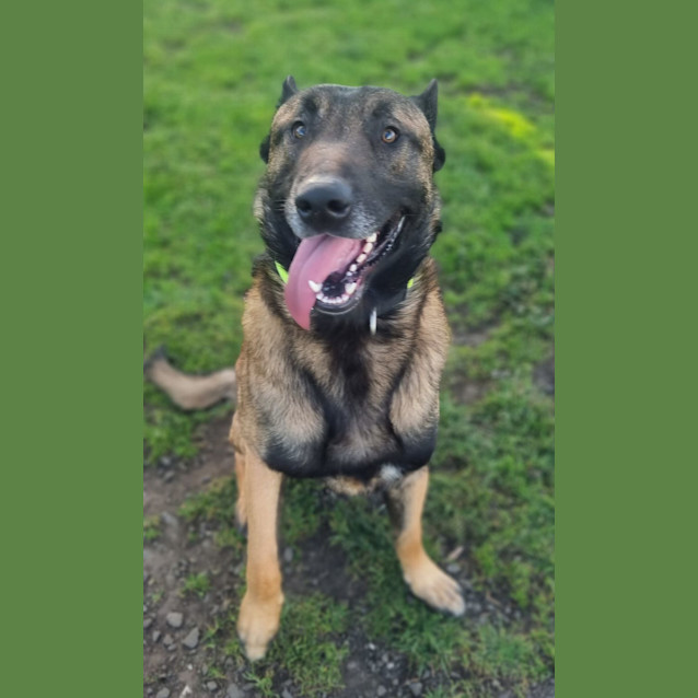 Photo of Vlad   60899