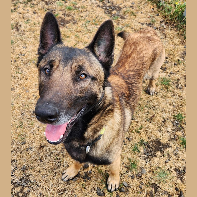 Photo of Vlad   60899