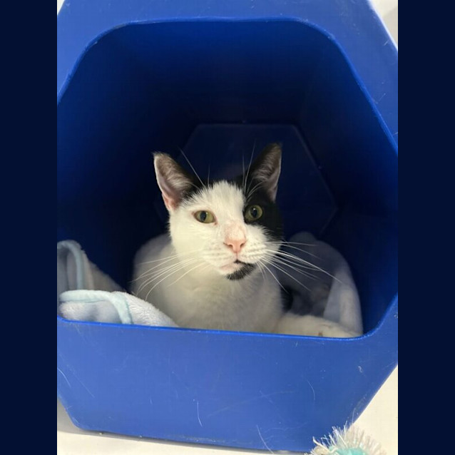 Photo of Squish