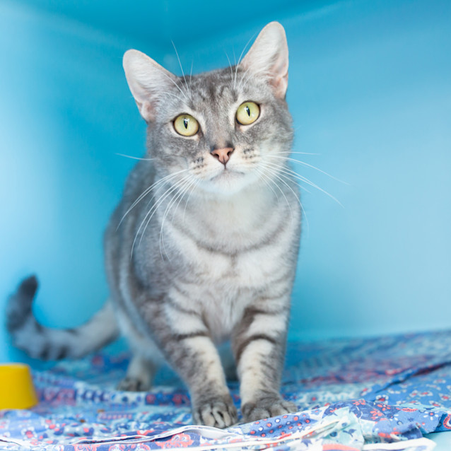 Photo of Binks