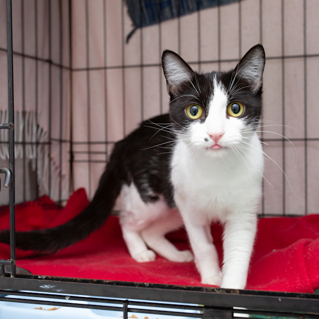 Photo of Cindy Clawford