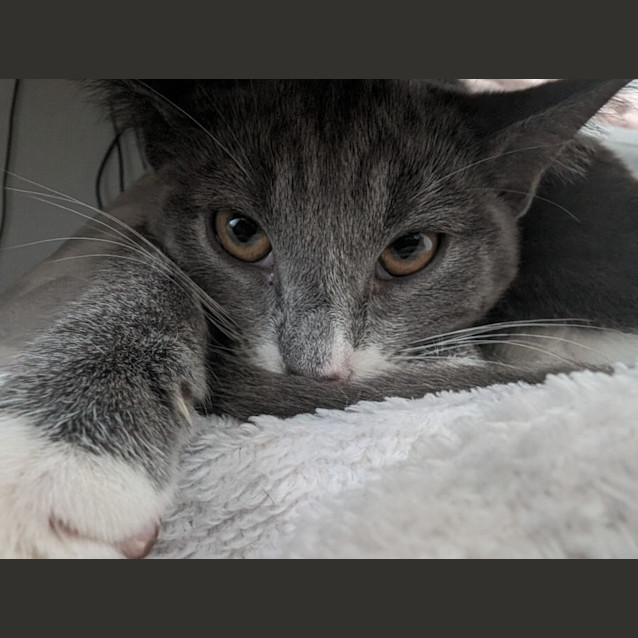 Photo of Pop Smoke 🤯✨