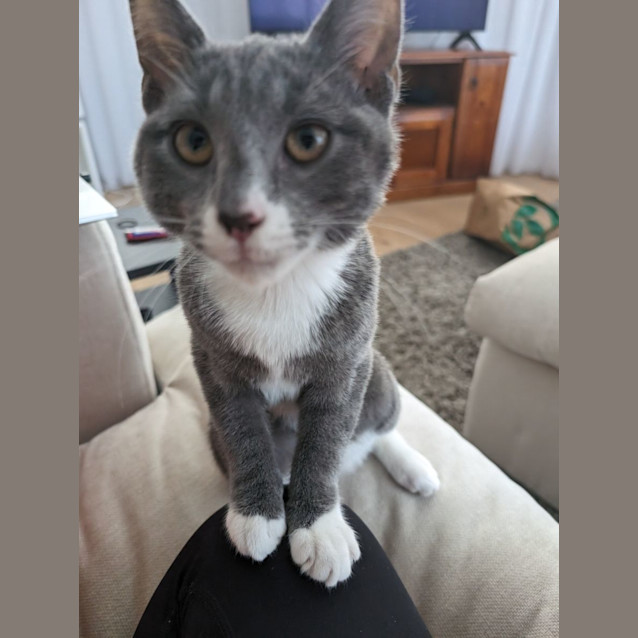 Photo of Pop Smoke 🤯✨