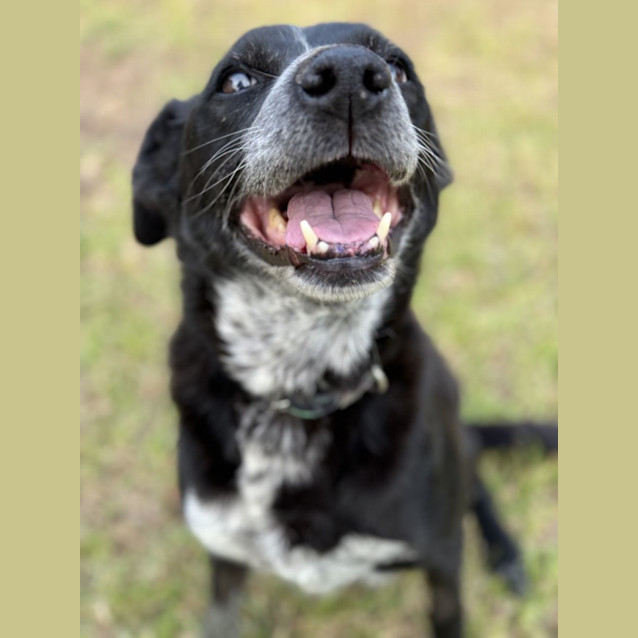 Photo of Riley