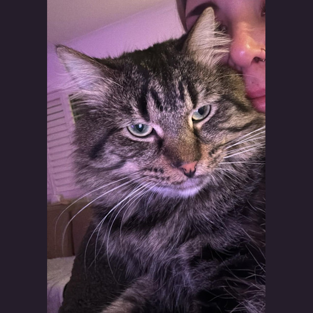 Photo of Dwight 