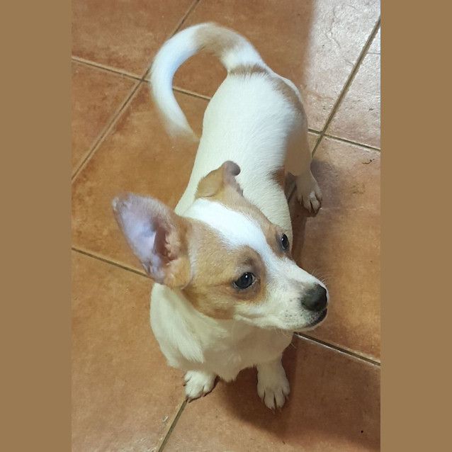 Photo of Storm