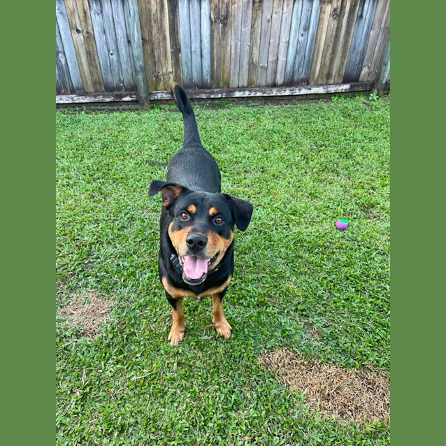 Photo of Atlas