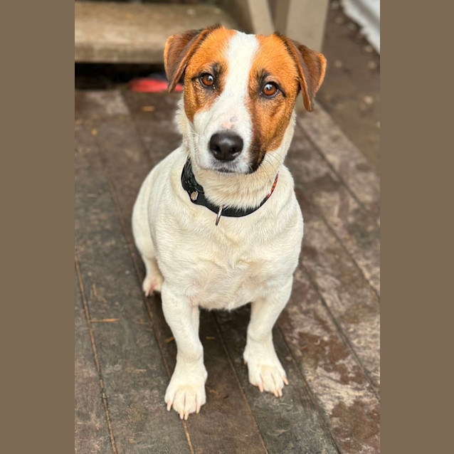 Photo of Acey 