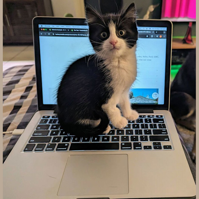 Photo of Sergeant Muddy