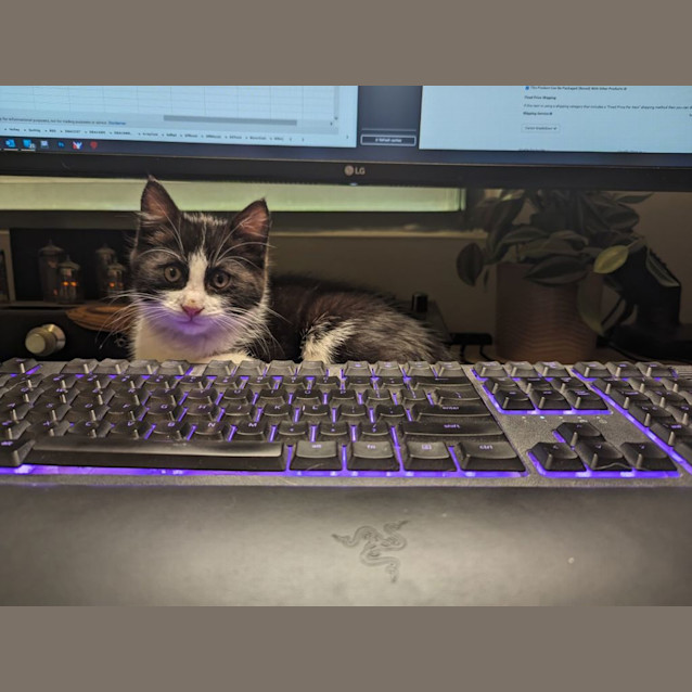 Photo of Sergeant Muddy