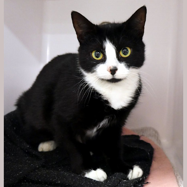 Photo of Sammy Sta012731