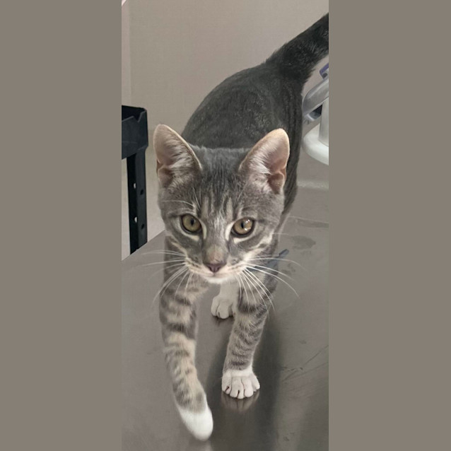 Photo of Timothy (6543)