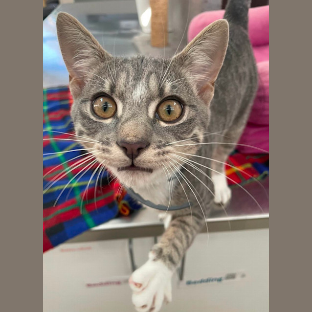 Photo of Timothy (6543)