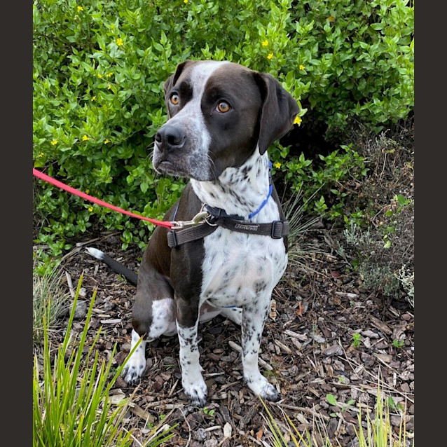 Photo of Oreo & Tara