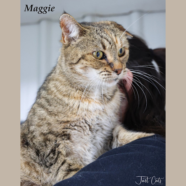 Photo of Maggie