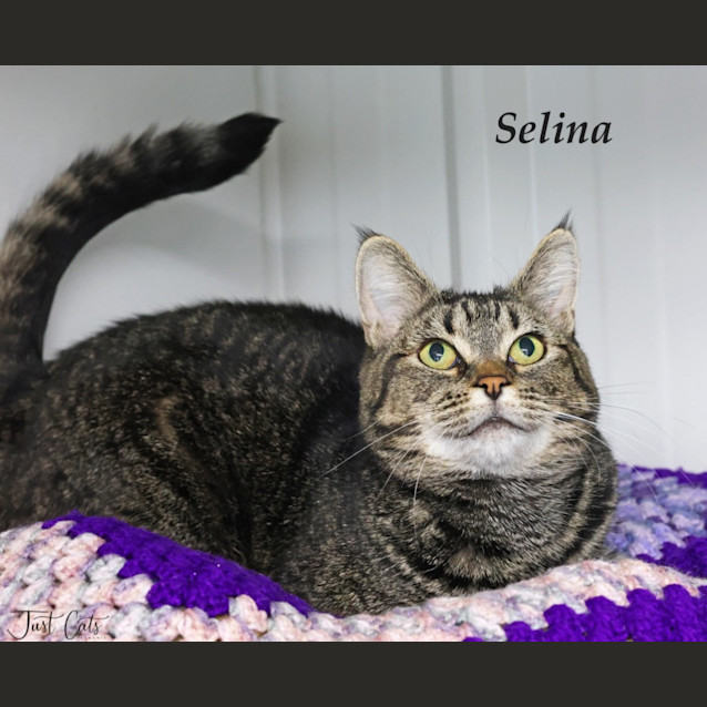 Photo of Selina
