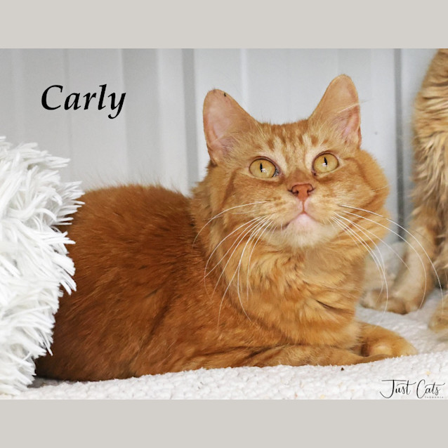Photo of Carly