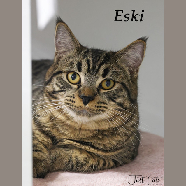 Photo of Eski