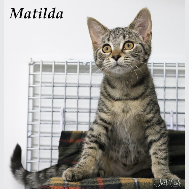 Photo of Matilda