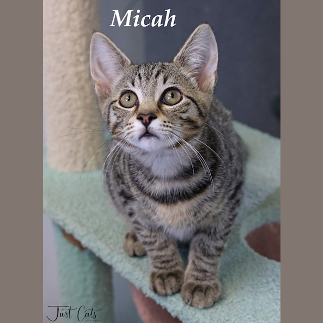 Photo of Micah   Mowbray