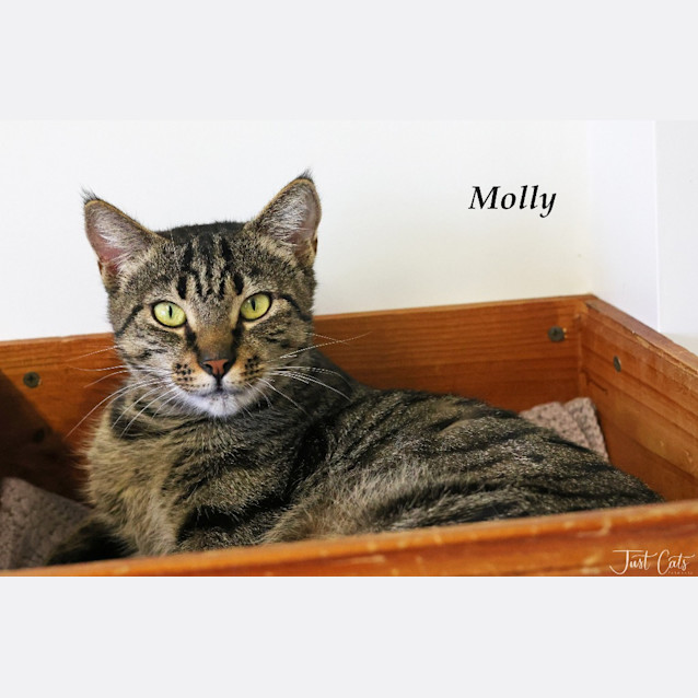 Photo of Molly