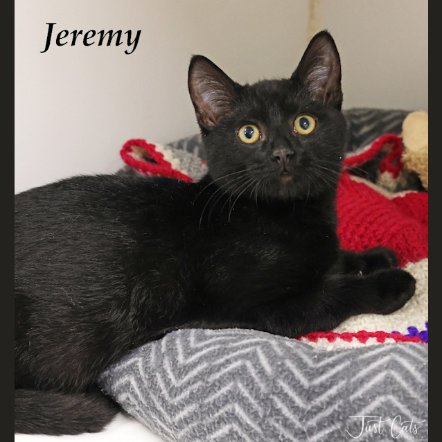 Photo of Jeremy