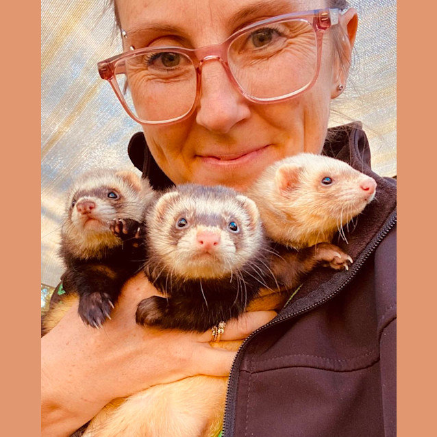 Photo of Endor & Magissa