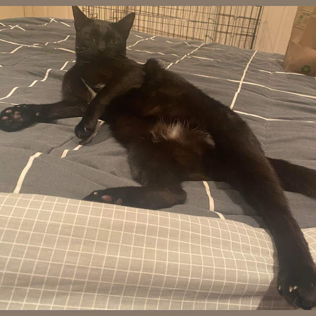 Photo of Jiji