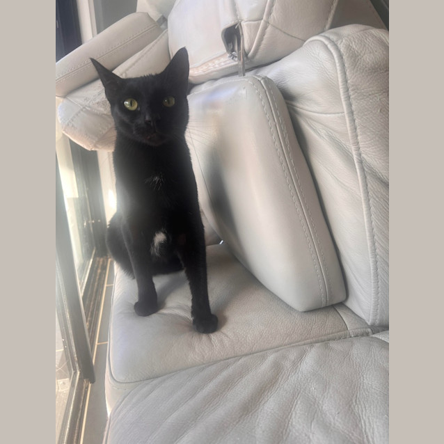 Photo of Jiji