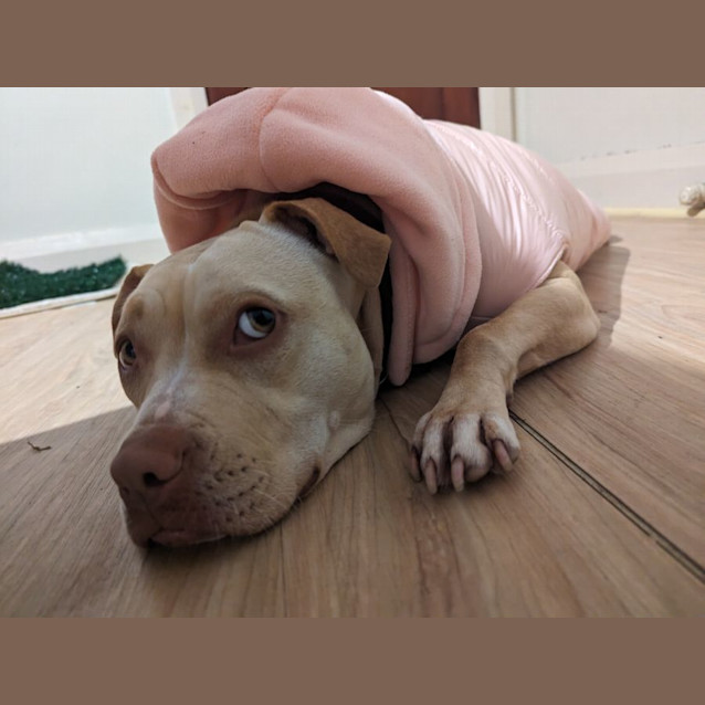 Photo of Minnie