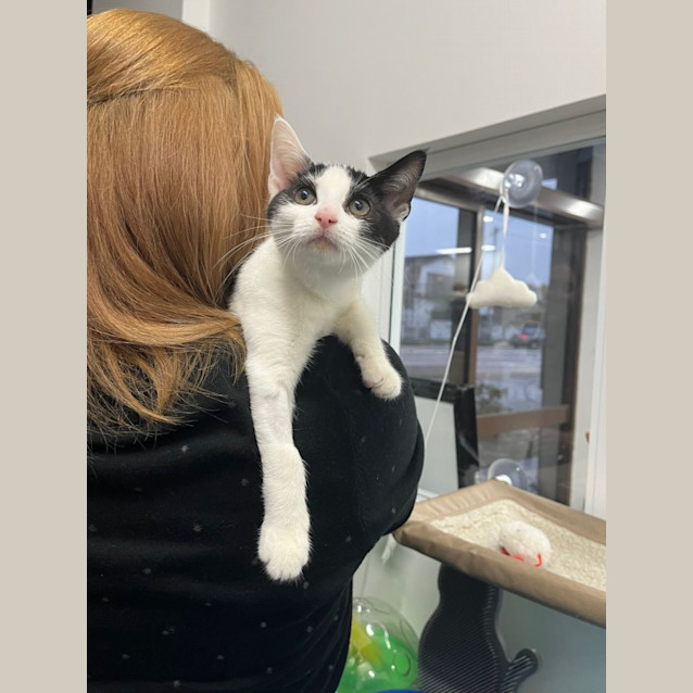 Photo of Christina   Meet Me At Pet Stock Engadine