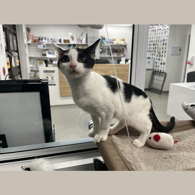 Photo of Christina   Meet Me At Pet Stock Engadine
