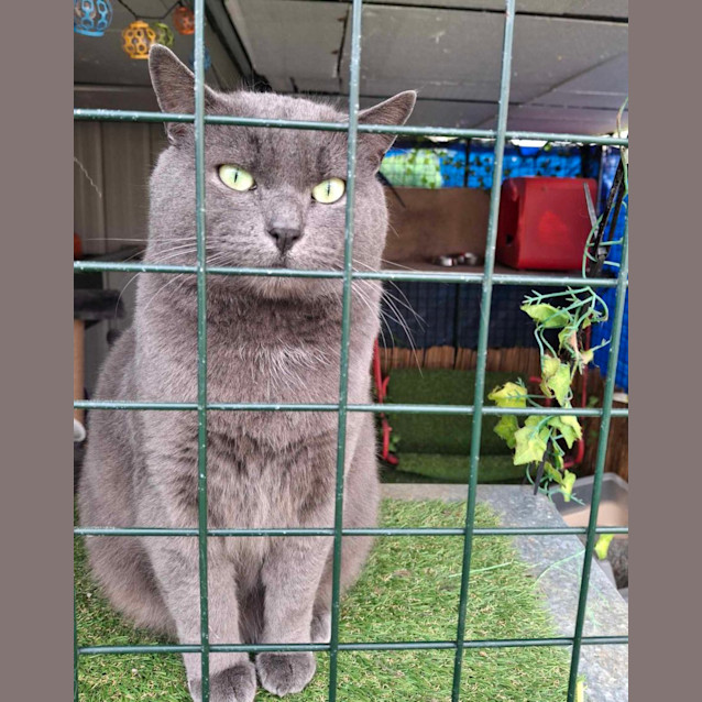 Photo of Charles 👑