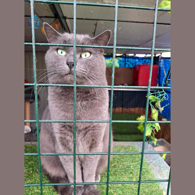 Photo of Charles 👑