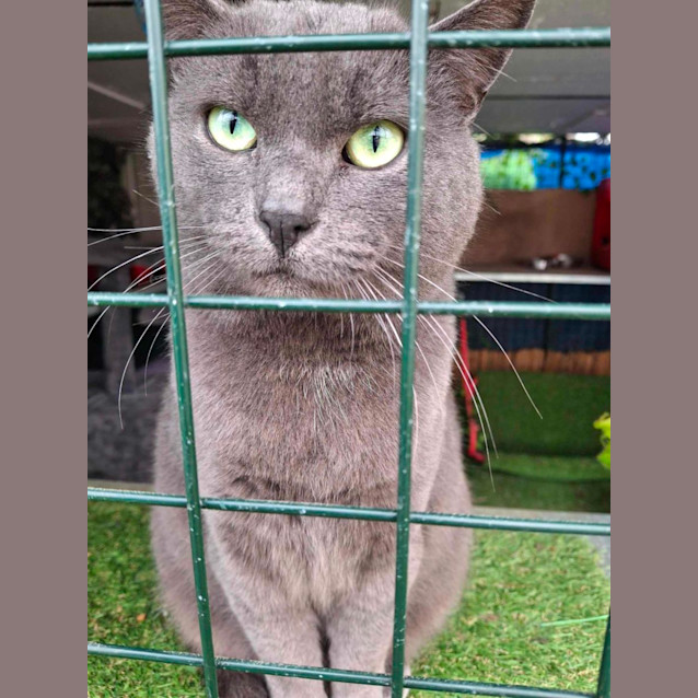 Photo of Charles 👑