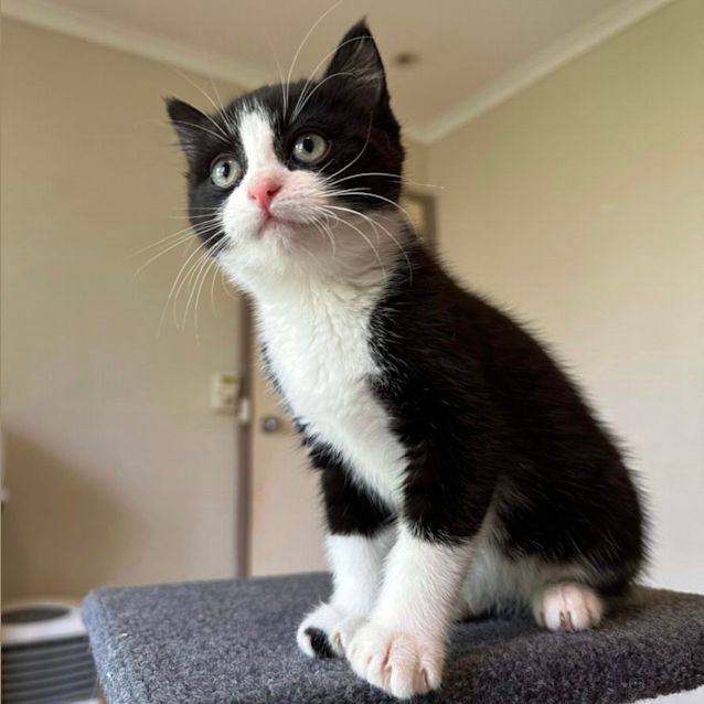 Photo of Sunday ☀️ 