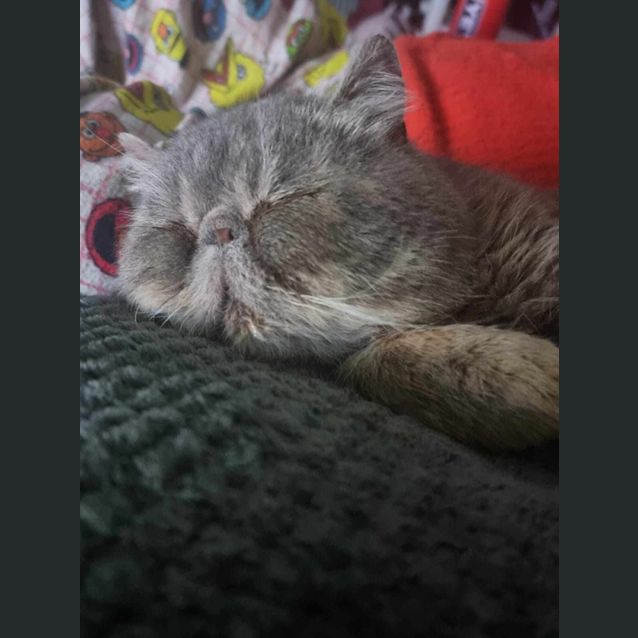 Photo of Max