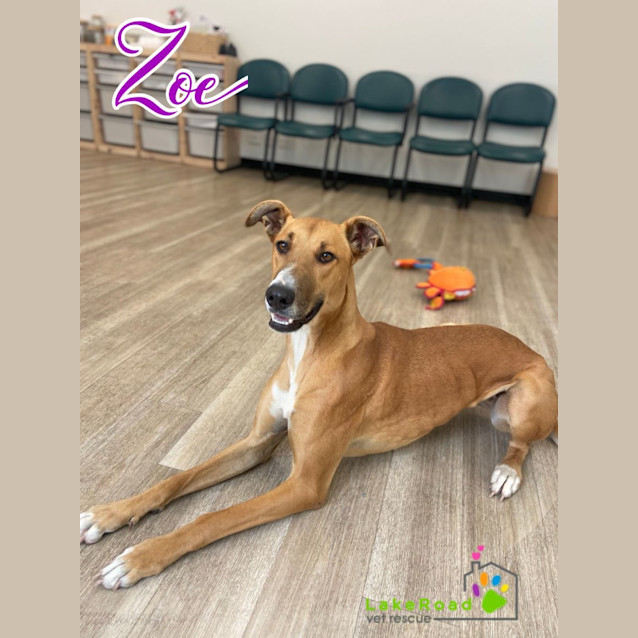 Photo of Zoe