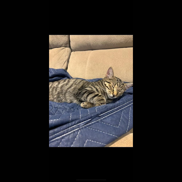 Photo of Remi