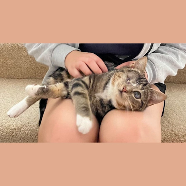 Photo of Bandit