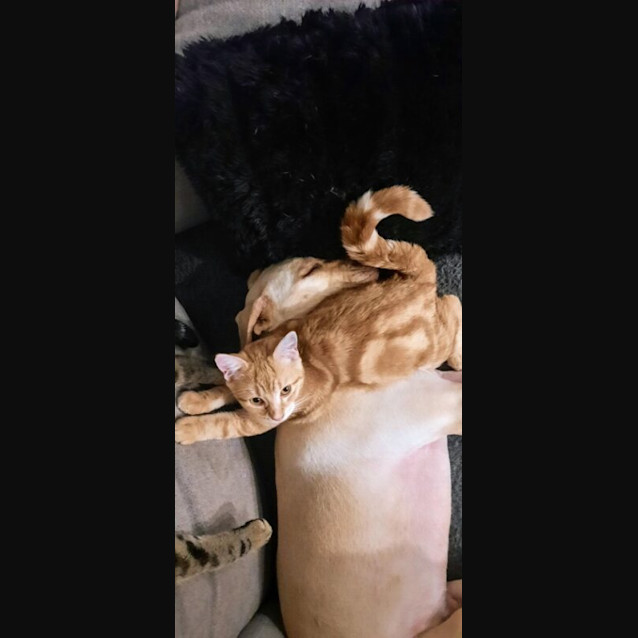 Photo of Jeffey
