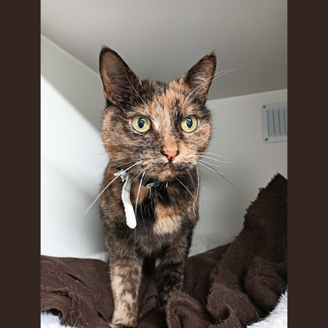 Photo of Mishy