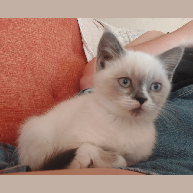 Photo of Faye