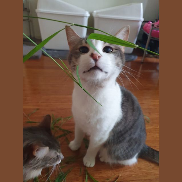 Photo of Marco & Giselle