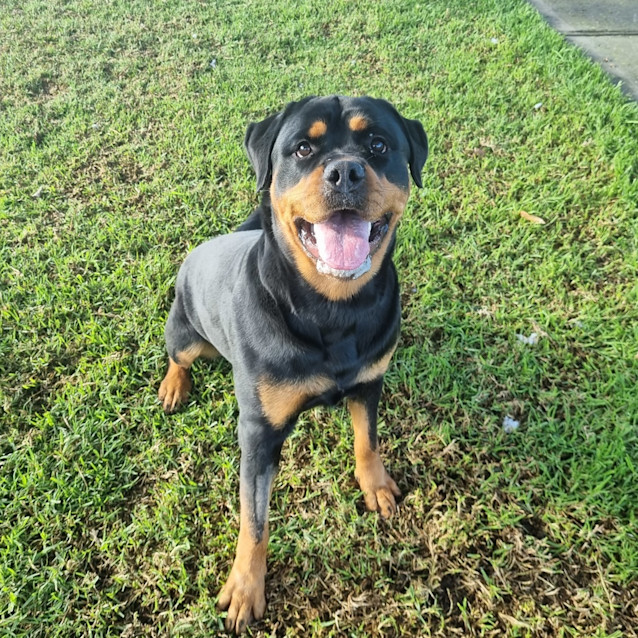 Photo of Bella 