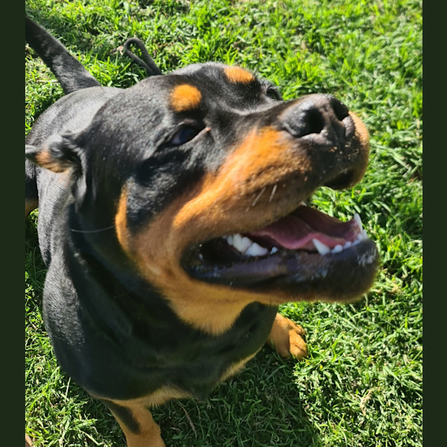 Photo of Bella 