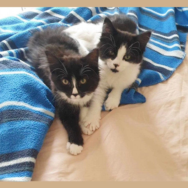 Photo of 🩷 Lulu & Sally 🩷