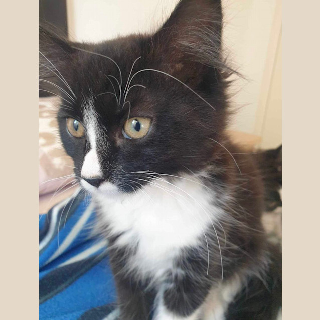 Photo of 🩷 Lulu & Sally 🩷